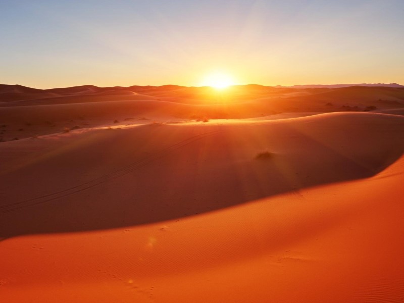 morningSafari1