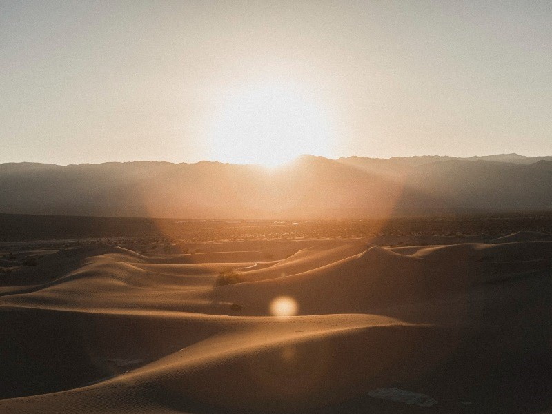 morningSafari2